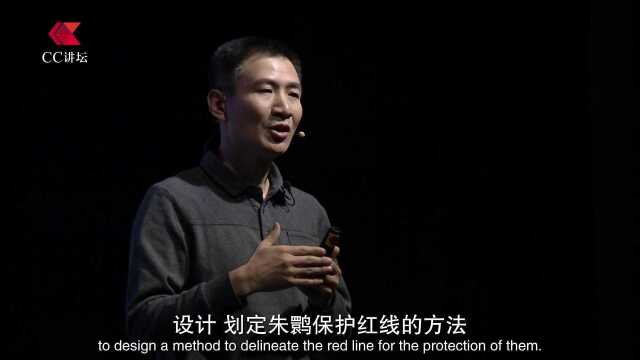 李欣海:朱鹮,从灭绝边缘重生的奇迹