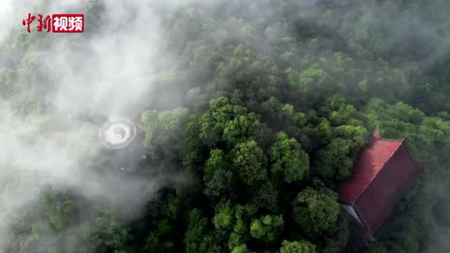 重庆南山现云海美景