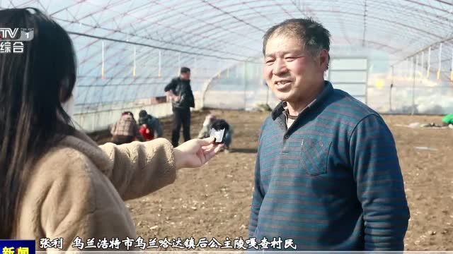 【奋进新征程 建功新时代】乡土人才为乡村振兴赋能加速