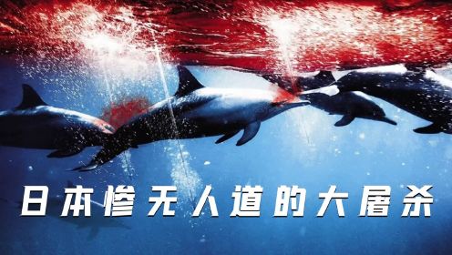 惨无人道的日本真实事件，纪录片《海豚湾》