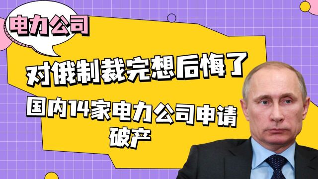 对俄制裁完想后悔了?被反手一招,国内14家电力公司申请破产