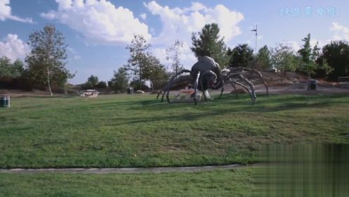 公园里来了大蜘蛛