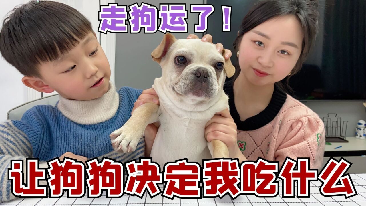 挑战让狗狗决定我吃什么美食，选到什么吃什么，要走狗运了？_高清