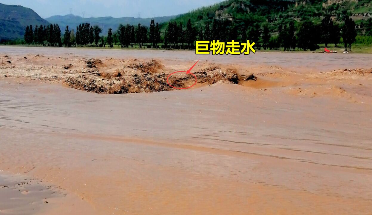 黄河巨物走水啥模样?黄河大爷:带水1米高,顶着船走不动太罕见