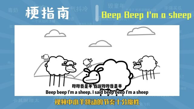 Beep Beep I'm a sheep是什么梗【梗指南】