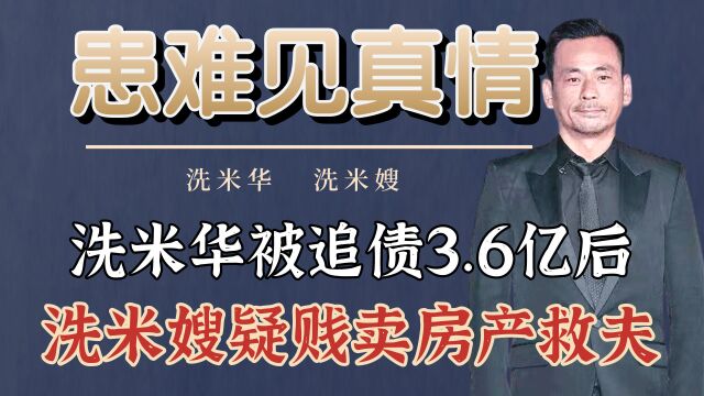 洗米华被追债3.6亿后,洗米嫂低价出售房产救夫