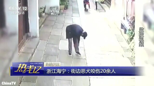 浙江海宁发疯流浪狗见人就咬,20余人受伤警方出动围捕也被咬伤