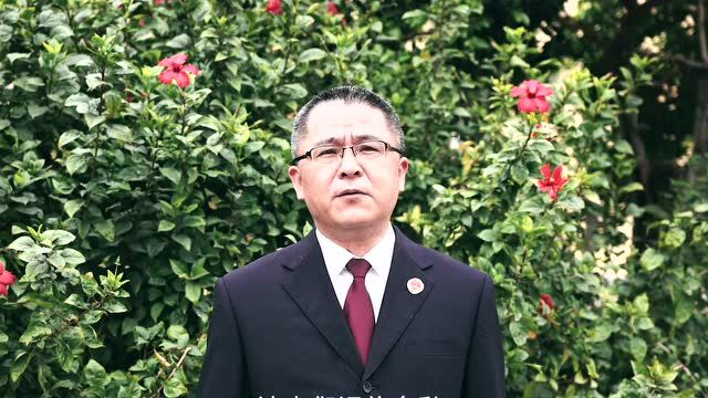 厦门湖里:数百面公共LED电子屏播放古树名木生态保护公益宣传片