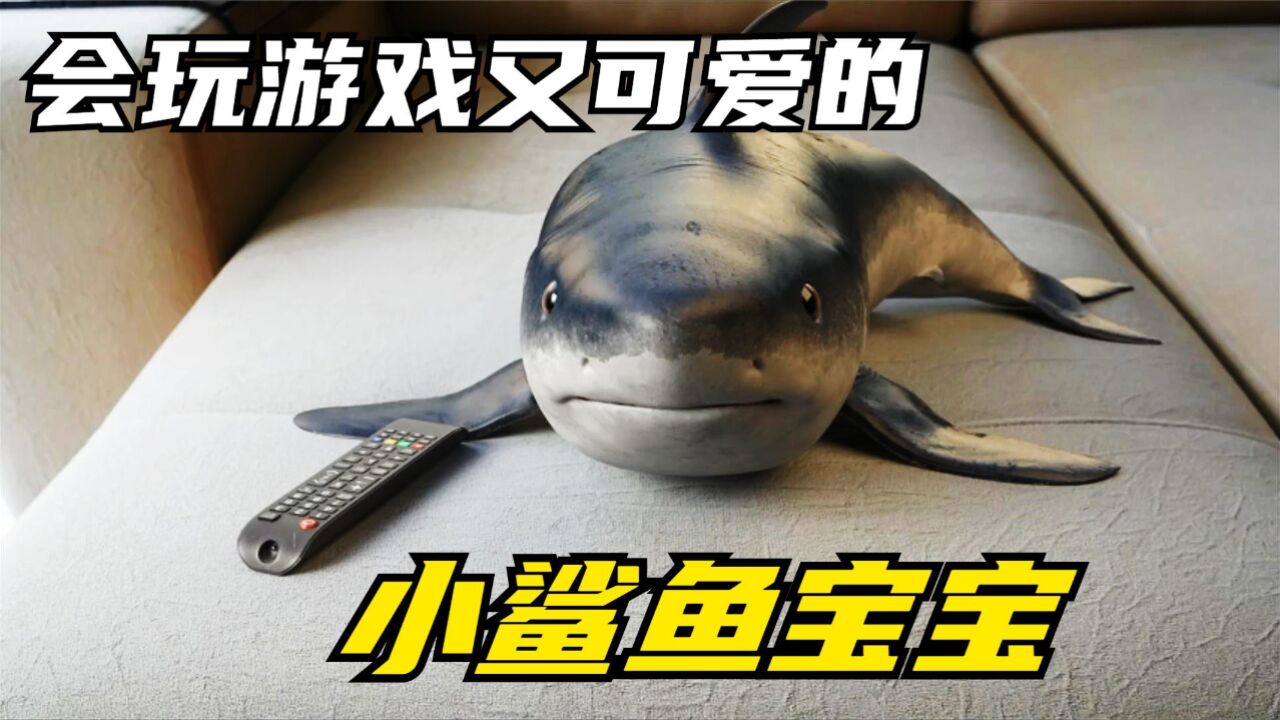 会玩游戏又可爱的小鲨鱼宝宝,你想不想要养一只呢?
