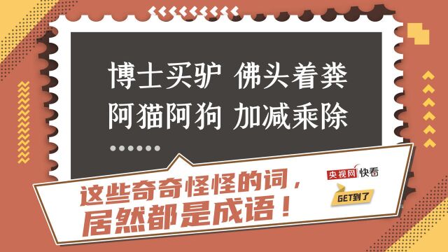 【get到了】博士买驴、佛头着粪.....这些奇奇怪怪的词居然都是成语!