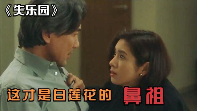 失乐园:50岁大叔爱上白莲花,为了护花不惜抛家弃子!