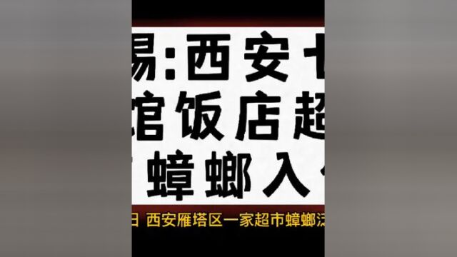 西安灭蟑螂/西安杀蟑螂/西安上门灭蟑螂,警惕春季蟑螂疯狂繁殖!