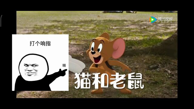 汤姆与杰瑞