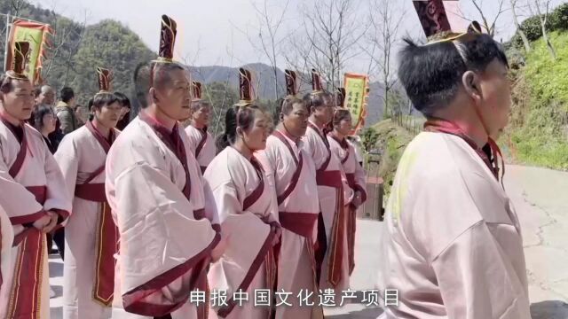 淳安祭祀千年茶树王