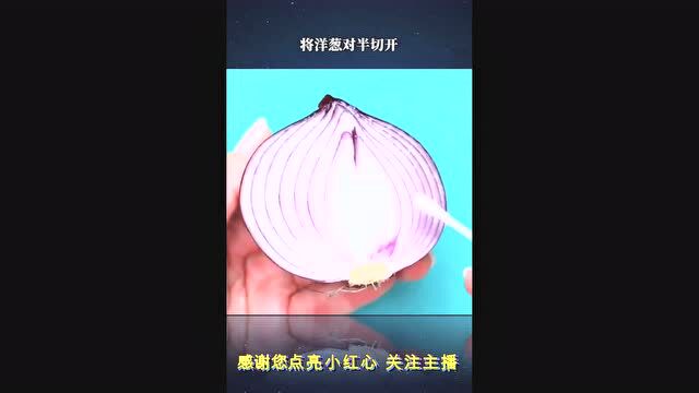 科学小实验系列集89