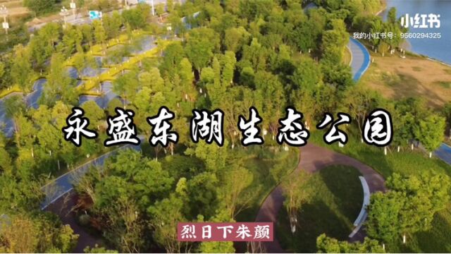 四川遂宁沿湖建新型城市公园,湖园联通,园内风景优美自然,园外湖水碧波荡漾.