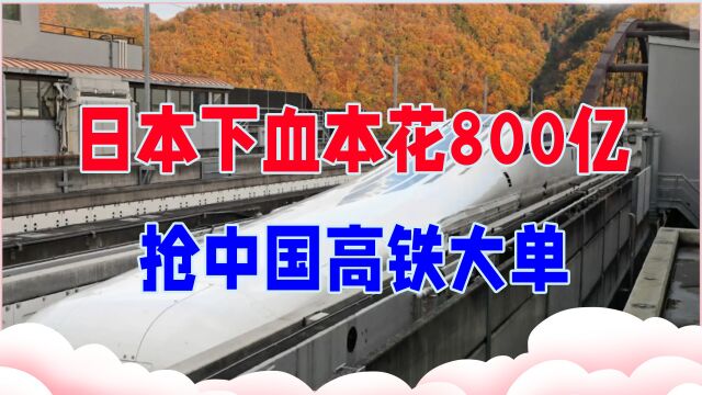 有用紫龙防务观察20220508日本下血本花800亿抢中国高铁大单,不料出了岔子,最后血本全亏