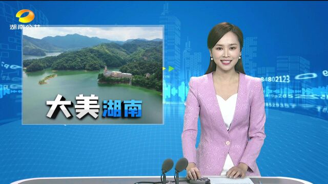 常宁:生态湿地鸟翩跹、、宁乡黄材水库:蓄一池碧水 富一方百姓、、洪江市:“水韵苗乡”景色美 露营烧烤醉游人