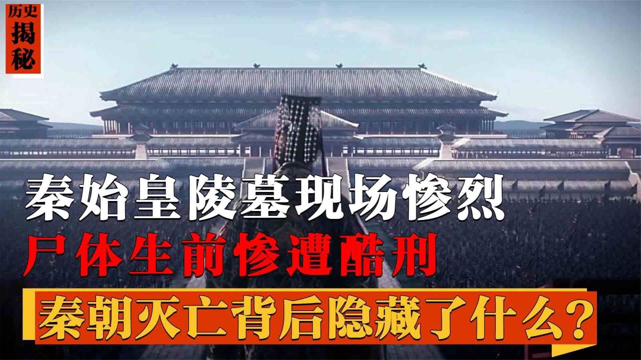 秦始皇陵屍體生前慘遭酷刑,考古現場令人揪心,秦朝滅亡拜誰所賜