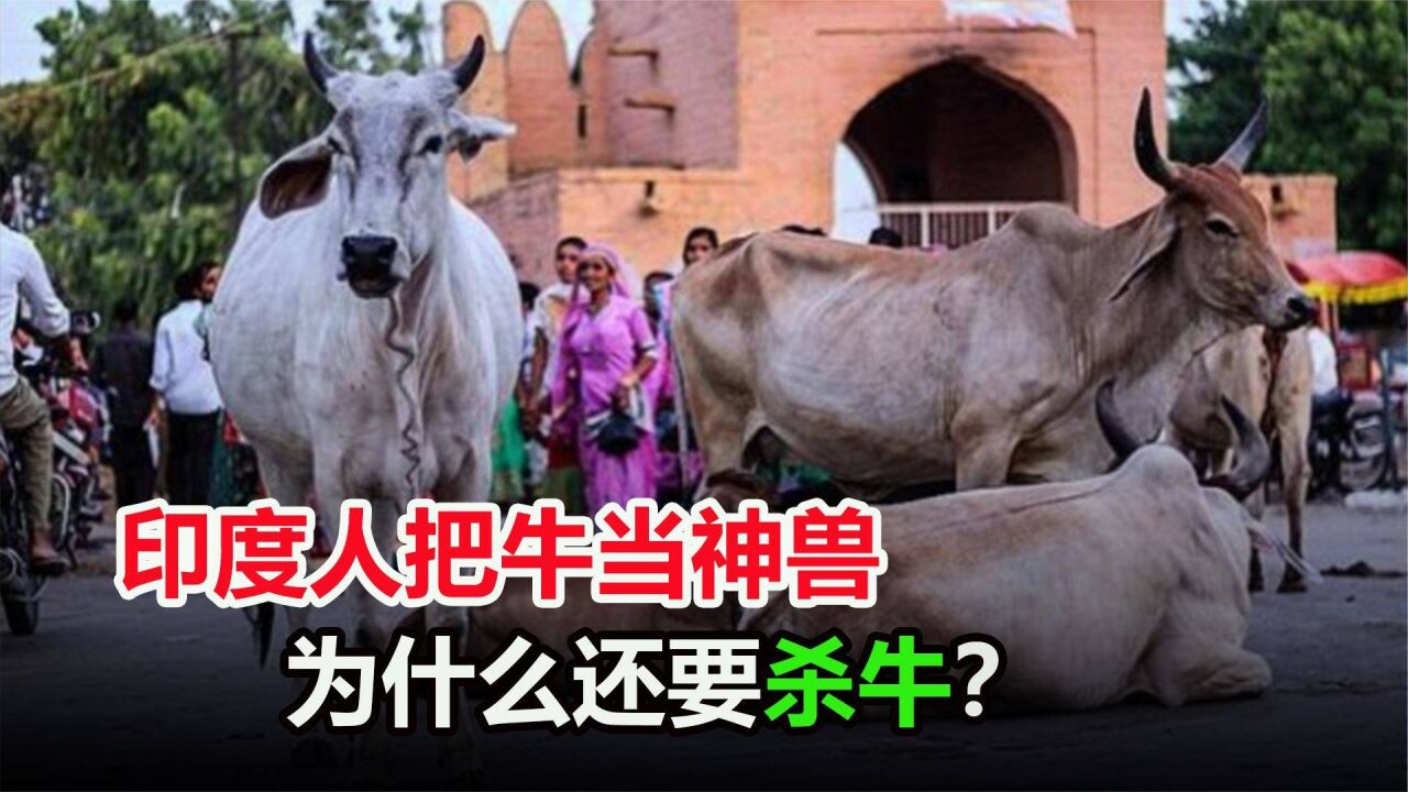 印度人把牛当圣物,为什么还要举办屠牛节?杀掉的牛怎么处理?