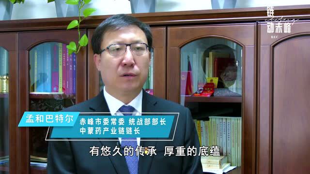 赤峰市14位领导干部集中亮相,只为这件大事……