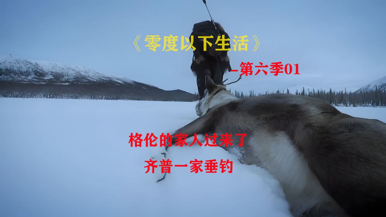 零度以下的生活6季01:捕猎一只驯鹿,冰上垂钓「纪录片」