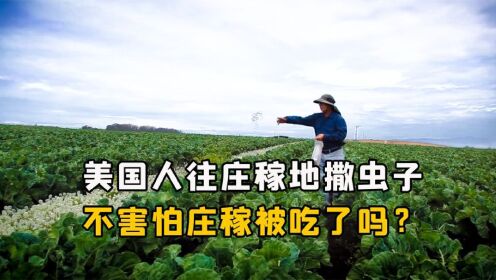 美国人往庄稼地撒虫子,不怕庄稼被吃了吗?庄稼地撒虫子有什么用_高清1080P在线观看平台_腾讯视频