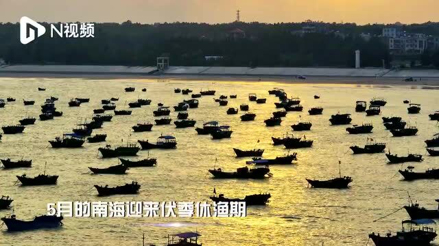 视频直击!电白最美海湾,你去过吗?