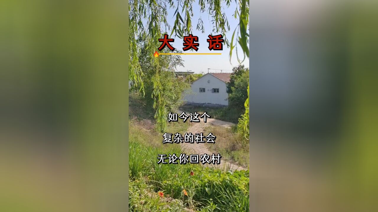 大实话顺口溜