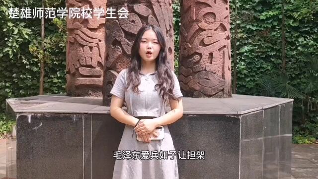 毛泽东爱兵如子让担架