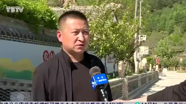 麦积区利桥镇:兴产业强基础 促进乡村全面振兴