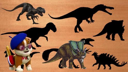 认识狂暴迅猛龙等7种恐龙