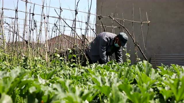 迁安:保供企业本地采购 助力农产品销售