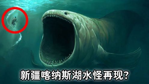 新疆喀纳斯湖水怪再现，科学家发现疑似巨齿鲨生物