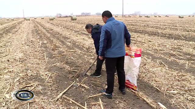 【新闻】惠泽合作社:测土配方施肥 节本增效