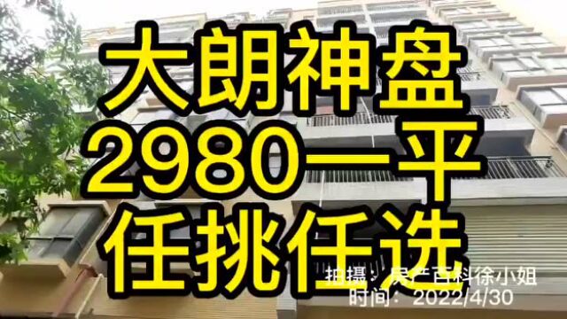 东莞大朗小产权房 2980一平 分期15年 马路第一排 任挑任选 大朗水口小产权房统建楼 厚街商会旁小产权房统建楼