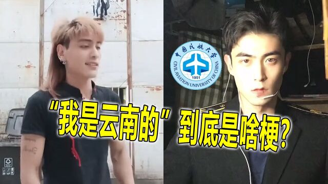 “我是云南的”是什么梗?短短几天破13亿,全国网友都调动起来了