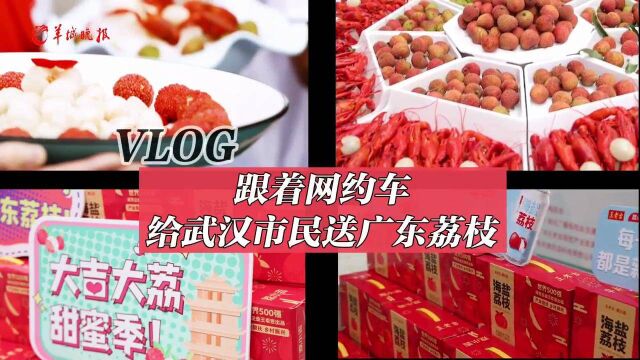 vlog丨广东荔枝“520”当红娘,粤鄂共享畅通国内大循环