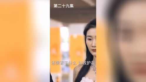 [图]天降极品豪婿(29)