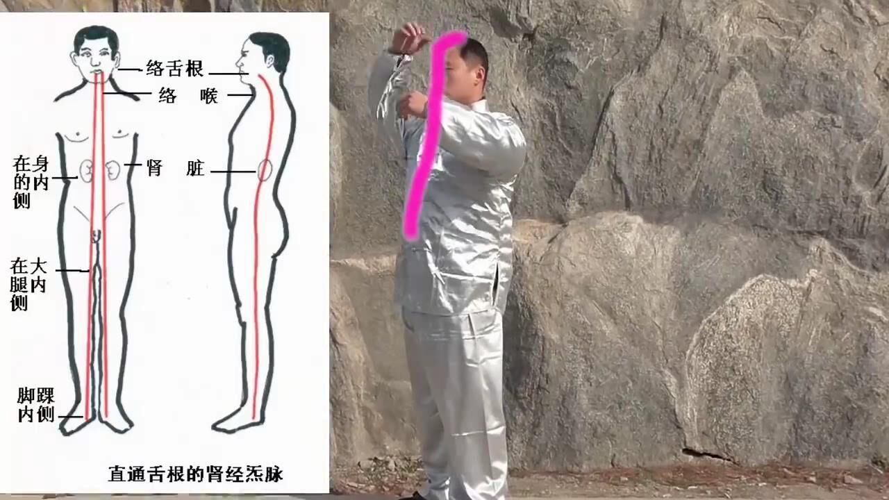 课时02薛颠练气法具体操作讲解:呼吸大周天_高清1080P在线观看平台_腾讯视频