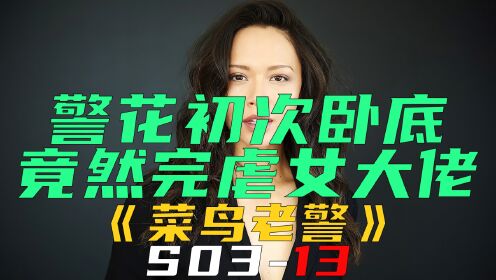 [图]警花初次卧底，竟然完虐女大佬《菜鸟老警S03-13》