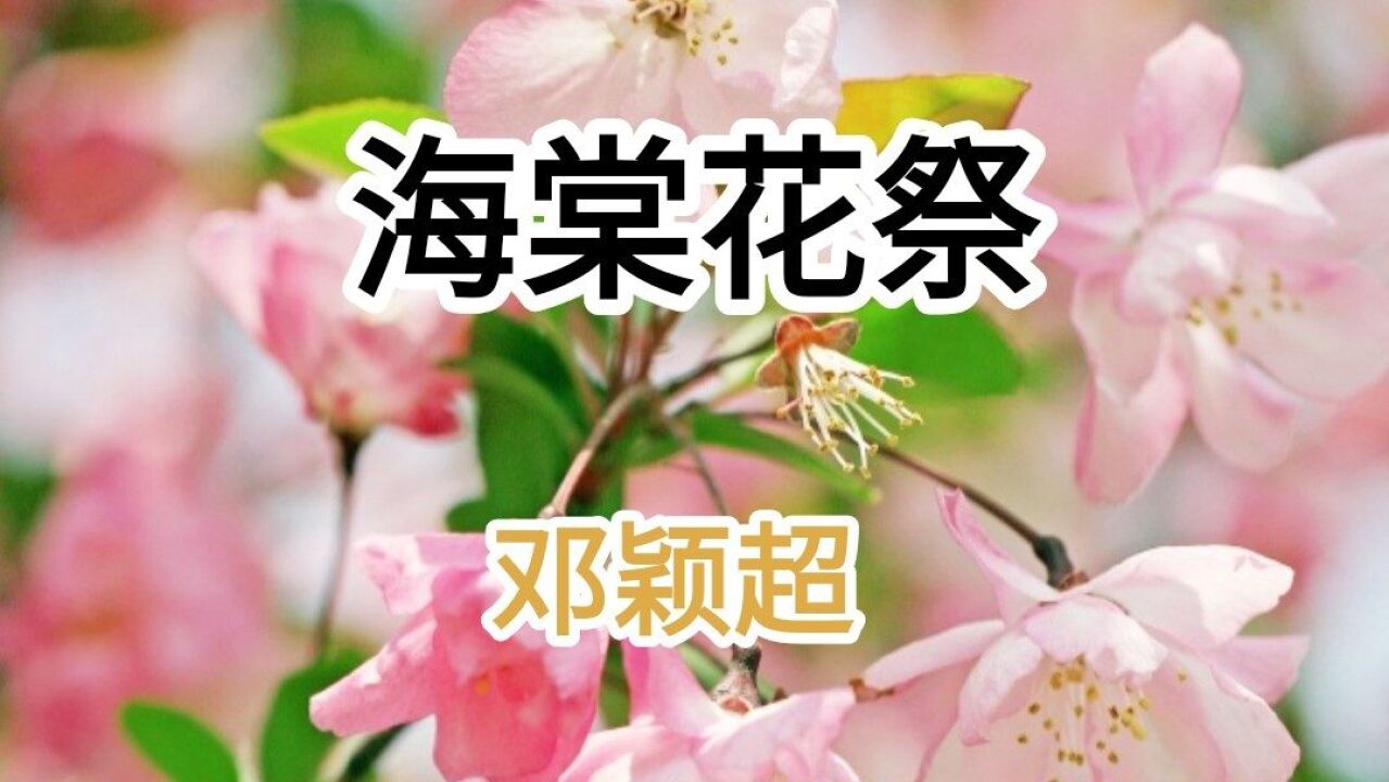 《海棠花祭(上)作者 邓颖超 深切怀念敬爱的周总理!