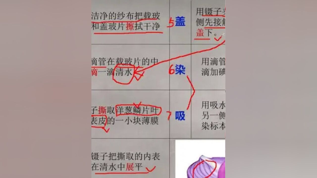 植物细胞 植物生命活动基本单位 搜狗百科