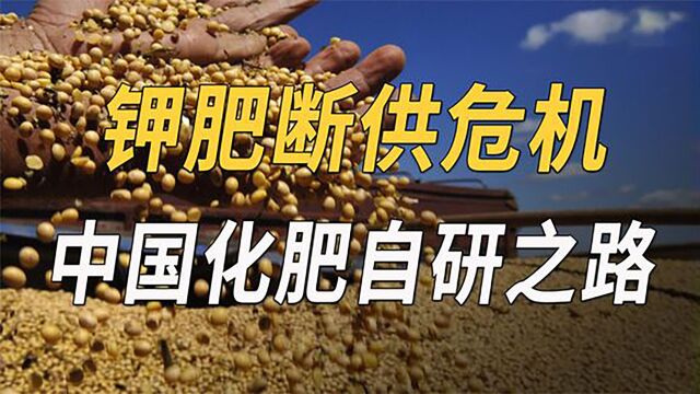 化肥断供危机,国内多家肥企面临停产,中国制造开启自救之路