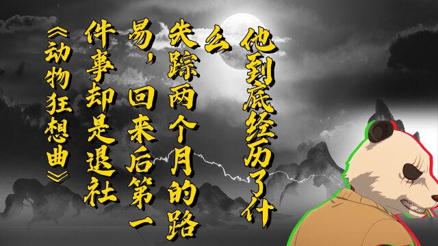 失踪两个月的路易,回来后第一件事却是退社,他到底经历了什么?