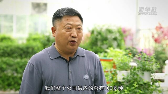 消费新观察|年轻人的“私家”小菜园 撬动阳台经济大市场