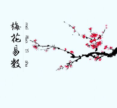 说:梅花易数72(三要灵应篇)物叶音之应