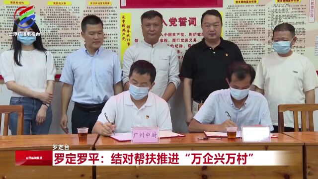 罗定罗平:结对帮扶推进“万企兴万村”