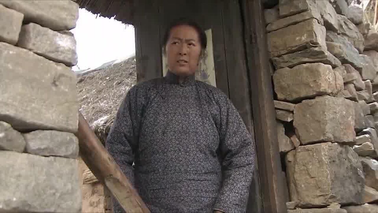 大地情深:丁家兄弟合伙反击多嘴的小芹娘,他们能否成功呢