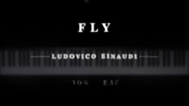 Ludovico Einaudi  Fly (The Intouchables)